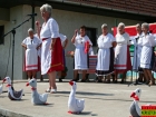 Falunap 2007