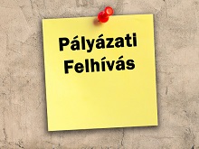 Plyzati felhvs